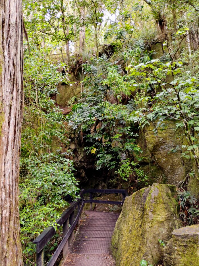 Kawiti Glow Worm Caves Global Traveler