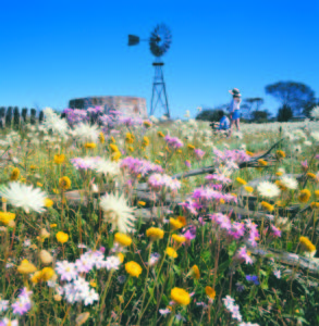 Tourism Western Australia