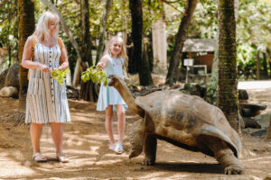 giant tortoise