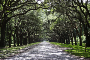 Savannah, Georgia