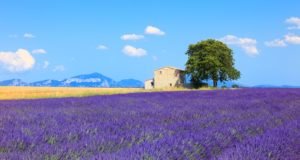 Provence