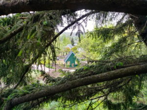 Morton Arboretum