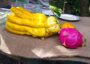 Lydgate Farms, Kaua'i