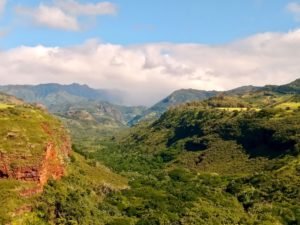 Waimea Canyon