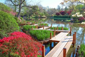 Japanese Garden