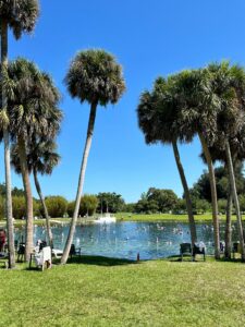 Warm Mineral Springs Park