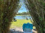 Warm Mineral Springs Park