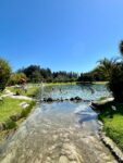 Warm Mineral Springs Park