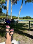 Warm Mineral Springs Park