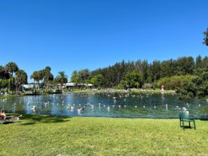 Warm Mineral Springs Park