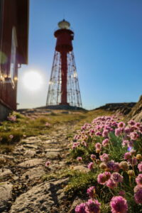 PN lighthouse