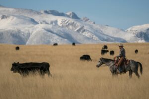 Tippet Rise