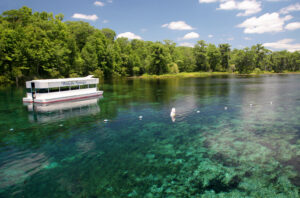 Wakulla Springs