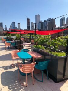 Rooftop Reds