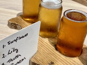 beer flight