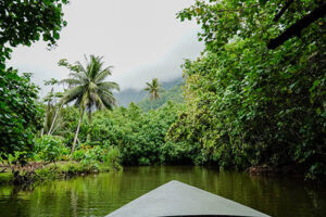 Windstar Cruises