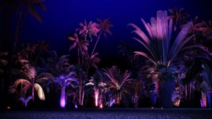 NightGarden, Miami © Kilburn Media