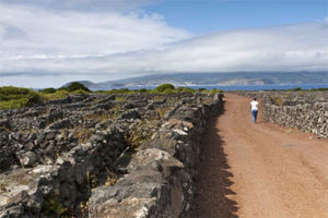 Vineyard stone corrals on Pico, built to protect the grapes from wind and sea salt, earned UNESCO World Heritage status