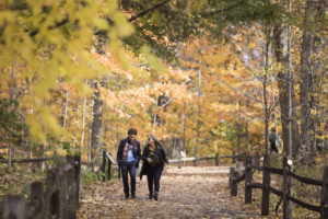 Botanical Garden on November 6, 2016 in New York City © Ben Hider for NYBF