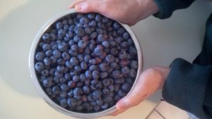 Blueberries