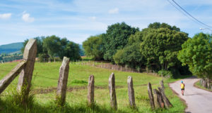 A pilgrim walks along Camino de Santiago