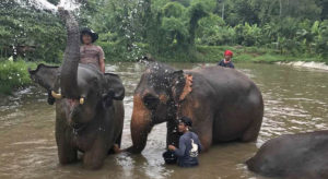 Elephants and their handlers enjoying the water