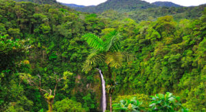 Costa Rican landscape with hills, tropical trees and La Fortuna Waterfall