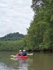 A kayaking excursion