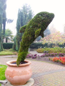 topiary