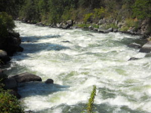 Whitewater Rafting the Upper Klamath