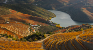 Douro