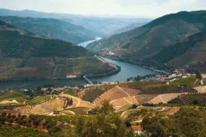 Douro Valley, Portugal. Top view of river, and the vineyards are on a hills.