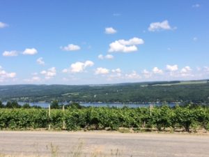 Finger Lakes winery