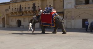 Elephant Ride India