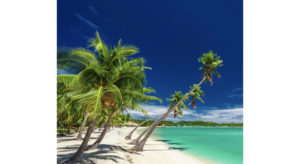 Beach with palm trees over the lagoon