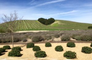 Paso Robles