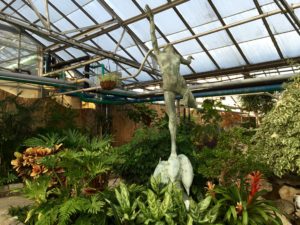 greenhouse yoga