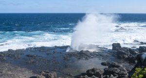 Galapagos Islands