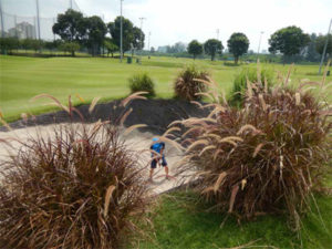 Sei in one of the pot bunkers on the first hole PHOTO: © FRANCIS X. GALLAGHER