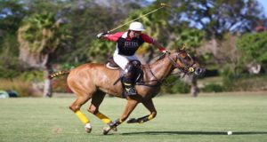 Polo Jockey