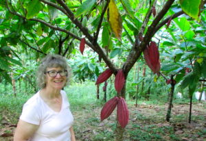 Lydgate Farms, Kaua'i