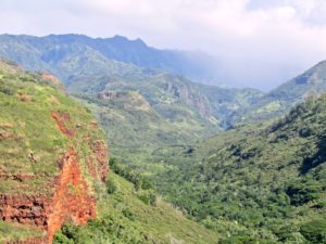 head of Waimea Canyon