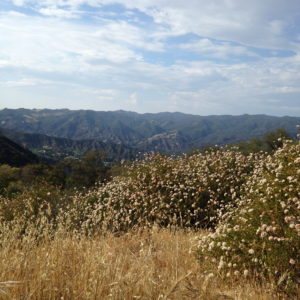 Santa Monica Mountains