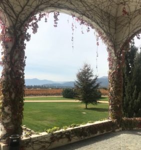 Viñamar Winery