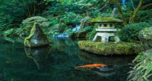 Japanese Garden Portland