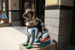 Chicago K9s