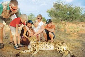 Family at a Zambia cheetah encounter