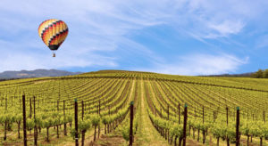 Hot air balloon over wine country in Napa Valley