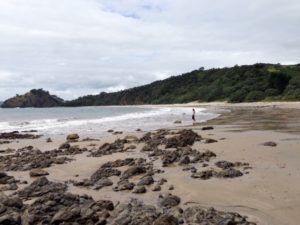 New Zealand's Coromandel Peninsula