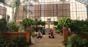 greenhouse yoga